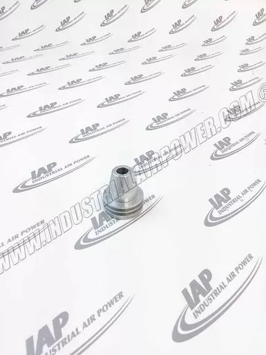 1613-7031-01 Piston