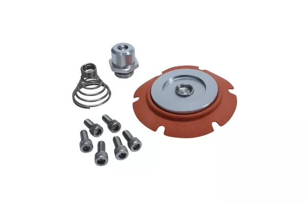 Aeromotive Low Pressure Regulator Service Kit (13022)