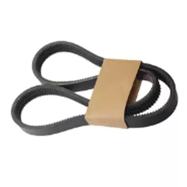 Belt 4982925 for Cummins Engine QSL9.5