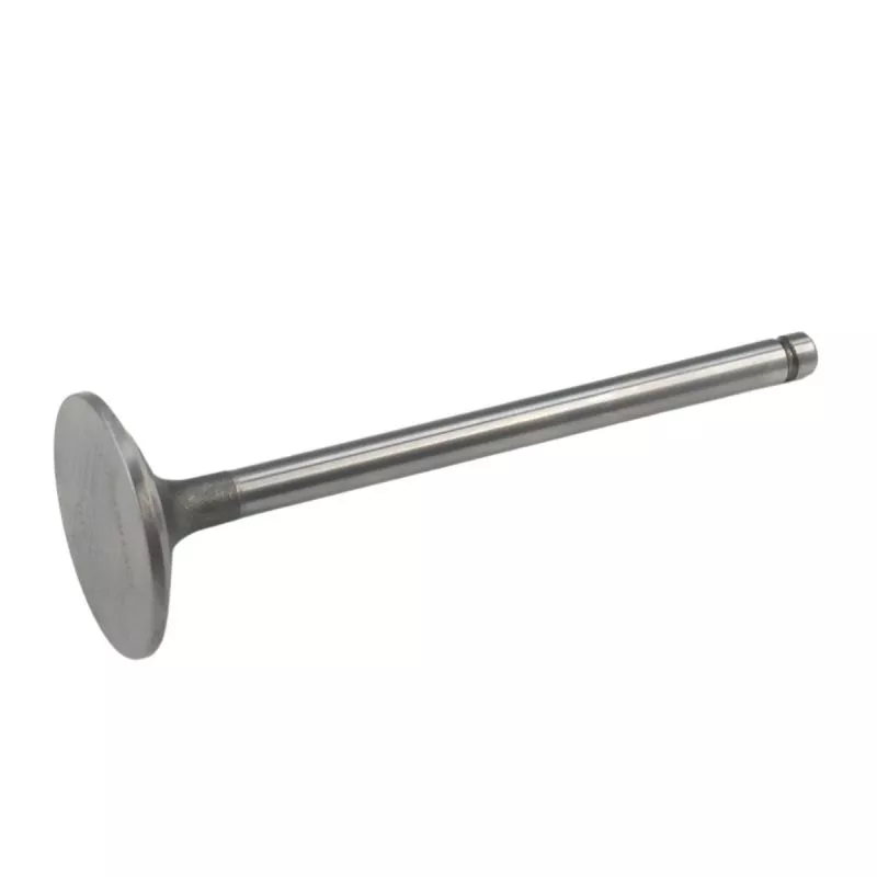 Exhaust Intake Valve 1842913C1 For Navistar International