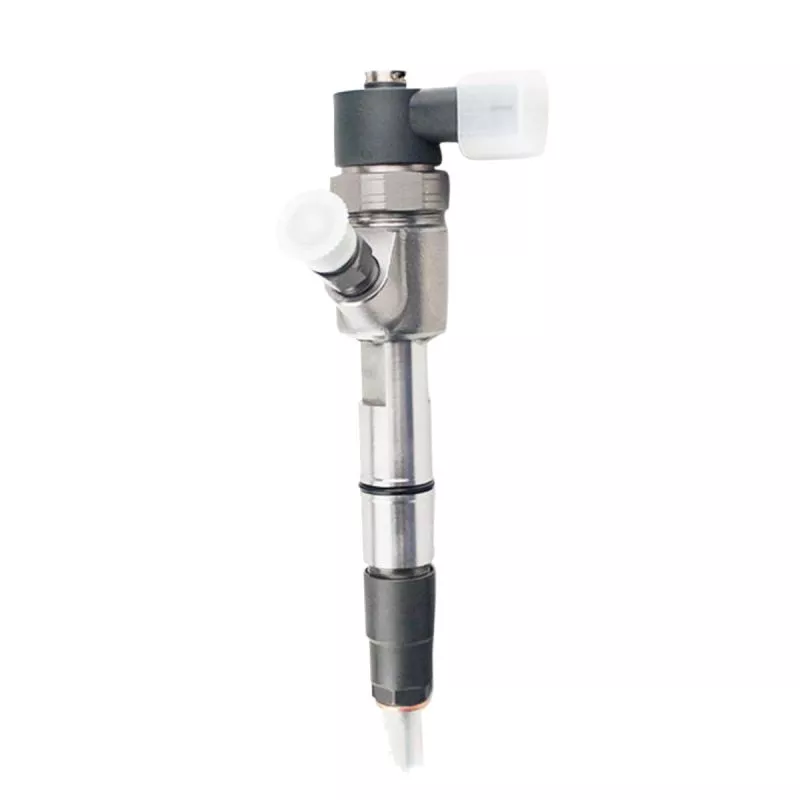Fuel Injection 0445110290 for Hyundai
