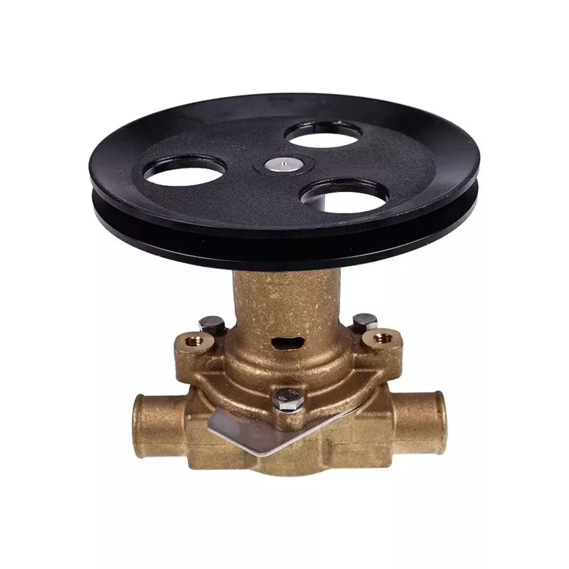 G21 G20 GT-40 Raw Water Pump RA057007 18830-0010 for Jabsco Sherwood Pleasurecraft Ford 5.0-Liter 5.8-Liter 302 351 CID