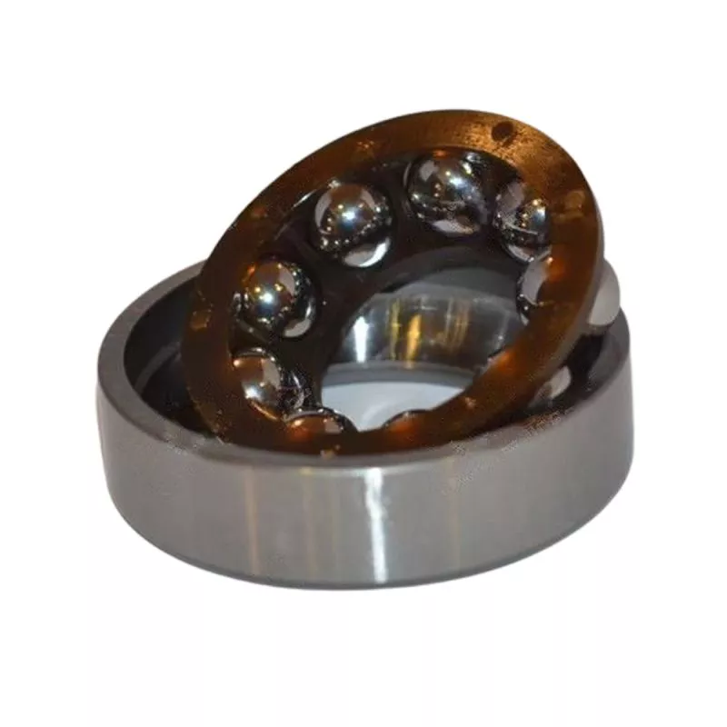 Steering Gear Bearing5098000470 for Isuzu